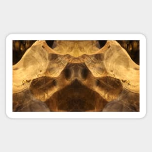 Abstract stretched pig snout on cave wall Sticker